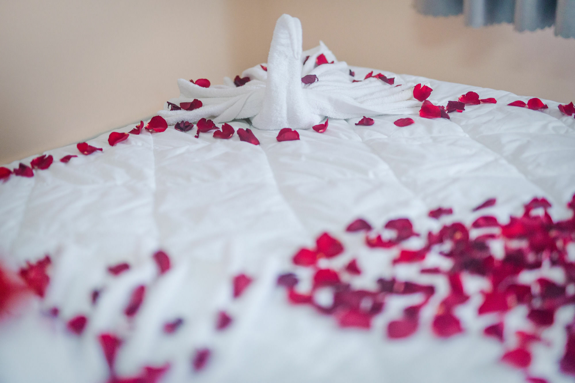 Oyo 117 Gina Hotel Đà Nẵng Kültér fotó