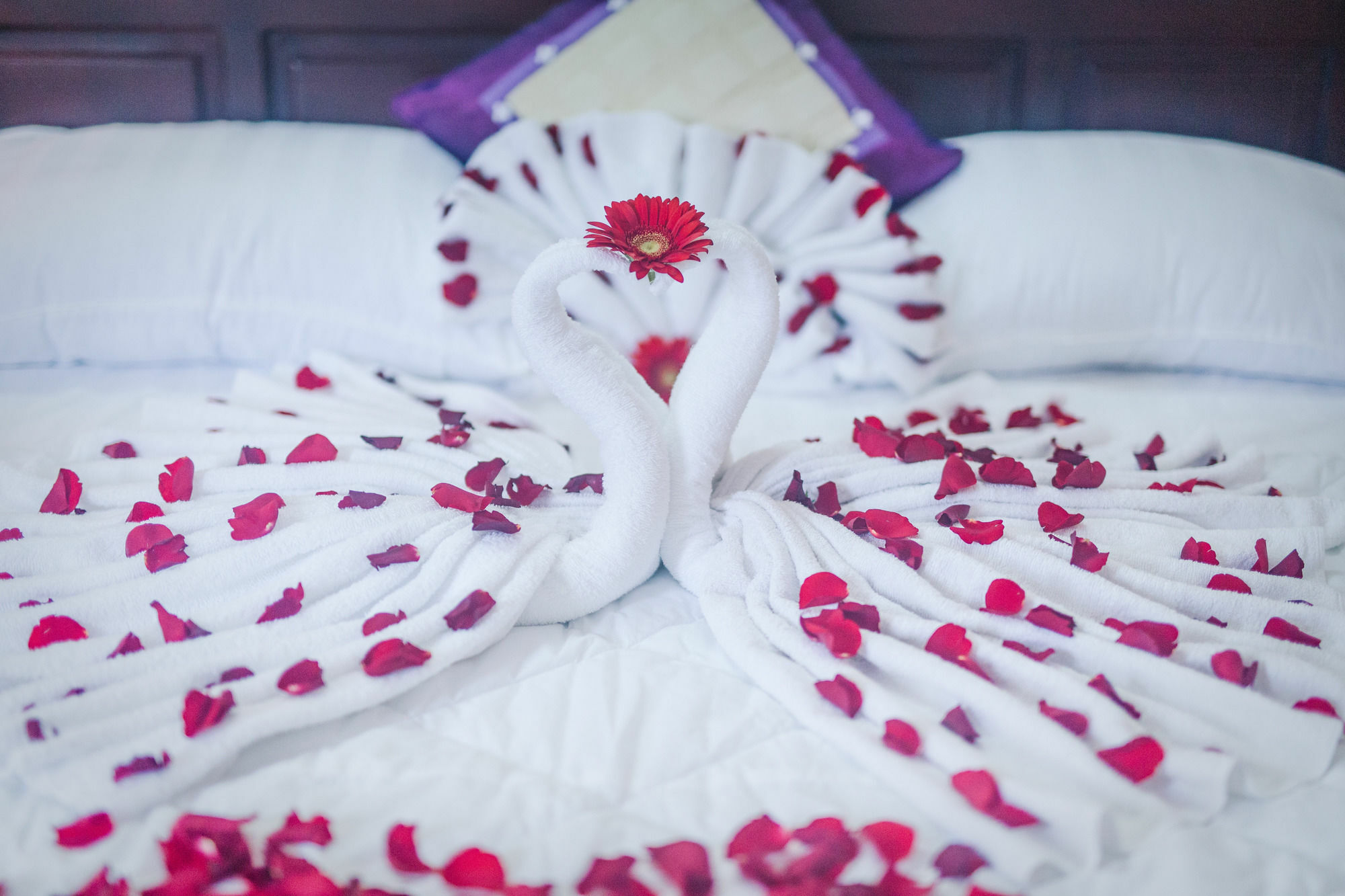Oyo 117 Gina Hotel Đà Nẵng Kültér fotó